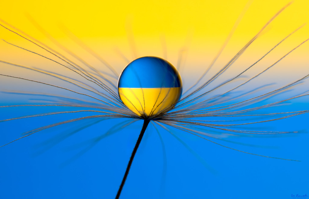Jewel of Ukraine